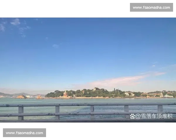 山东泰山账上仅剩 23 万！李平康曝 6 月 30 日晚现金流告急